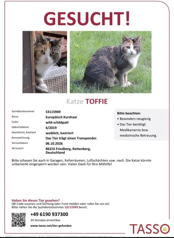 Toffie, Friedberg