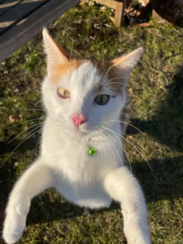 Findus, Landshut