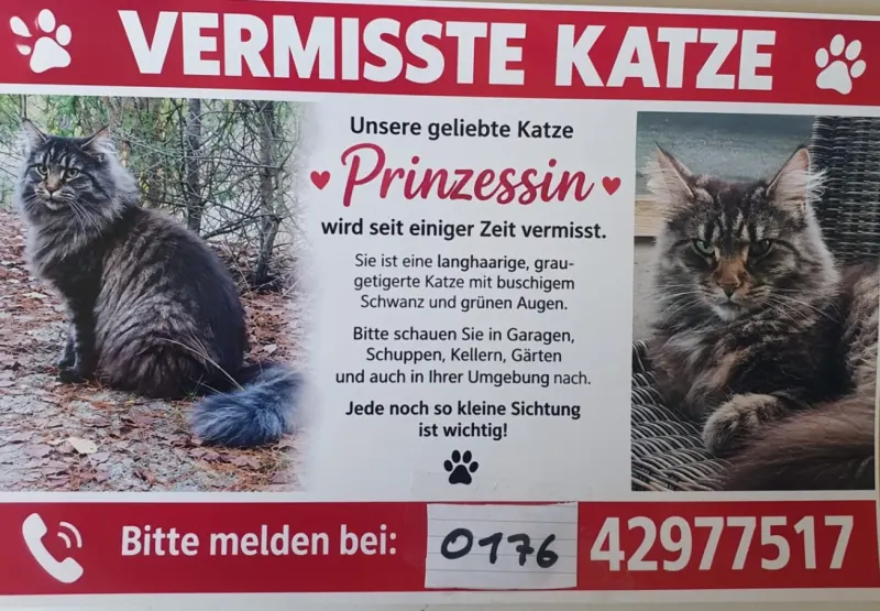 Prinzessin, Gifhorn