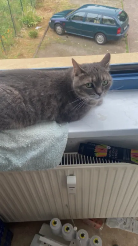 Ginny, Burg bei Magdeburg