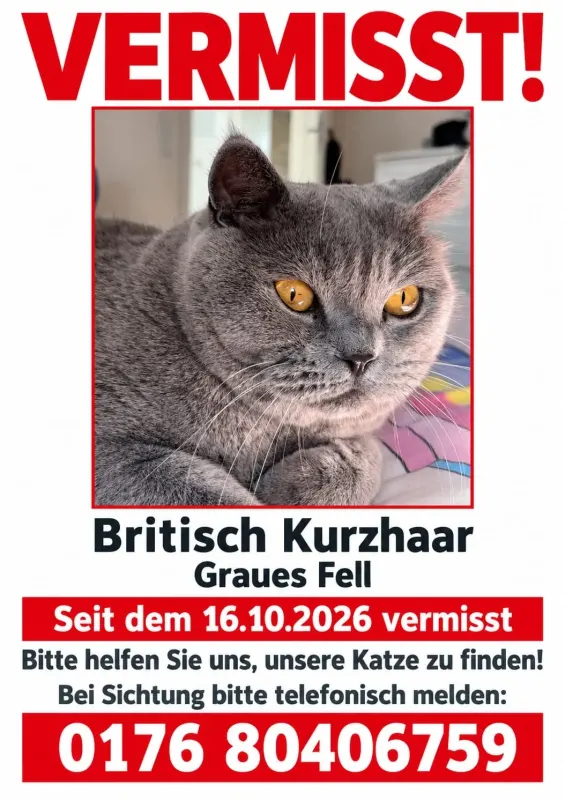 Busja, Ulm
