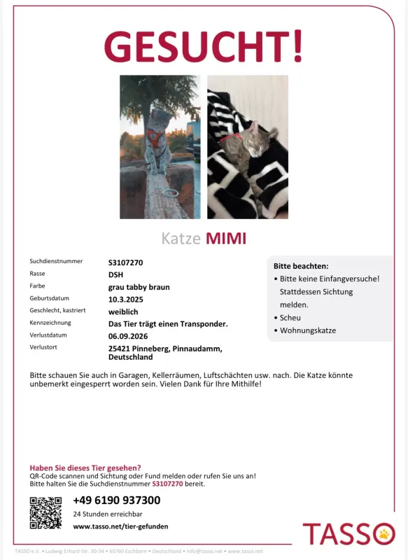 Mimi, Pinneberg