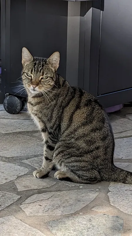 Luna, Ansbach