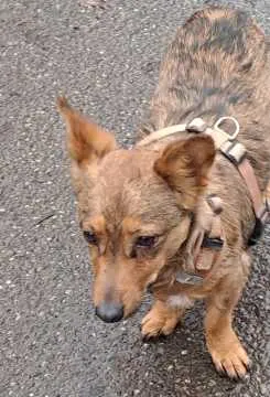 Tobi, Bonn