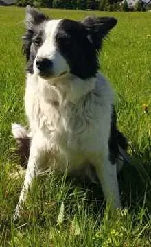 Sheila, Kurort Oberwiesenthal