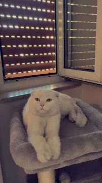Coco, Oberhausen