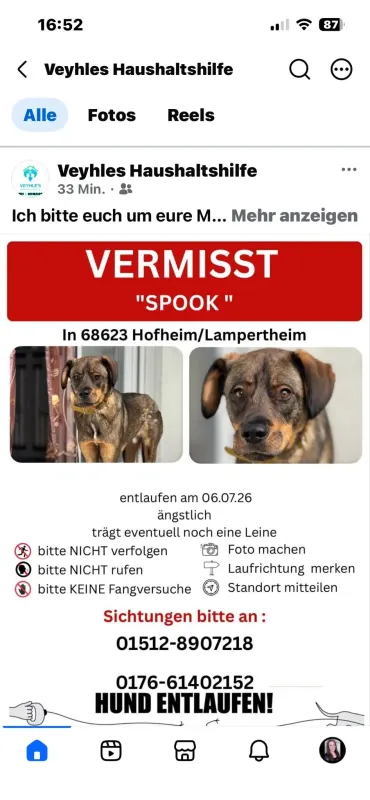 Spooky, Bürstadt