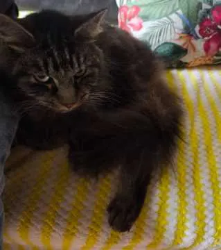 George, Oer-Erkenschwick