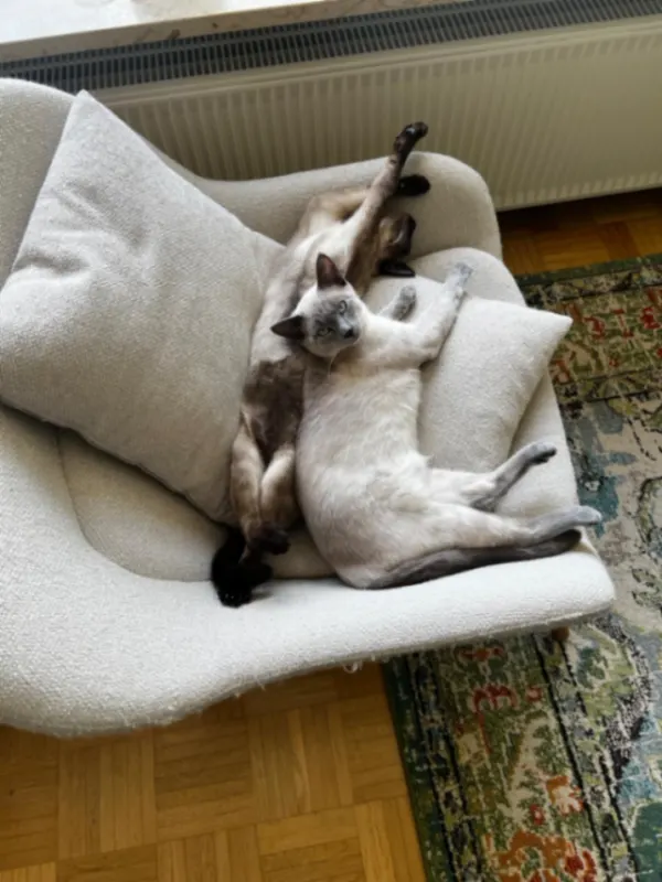 Malou, Herzogenaurach