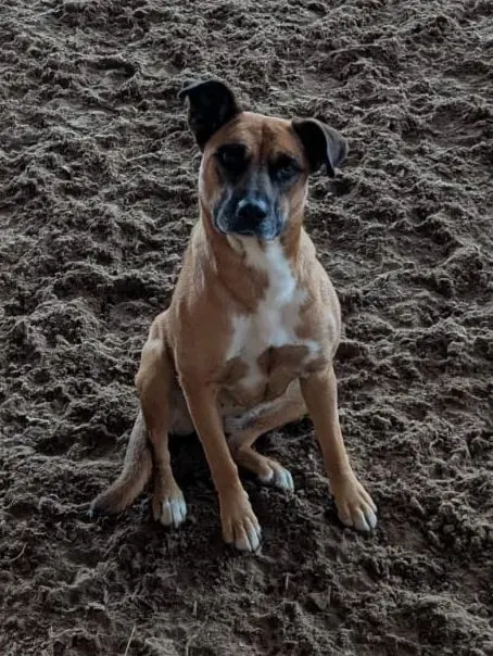 Lilli, Stadtlohn