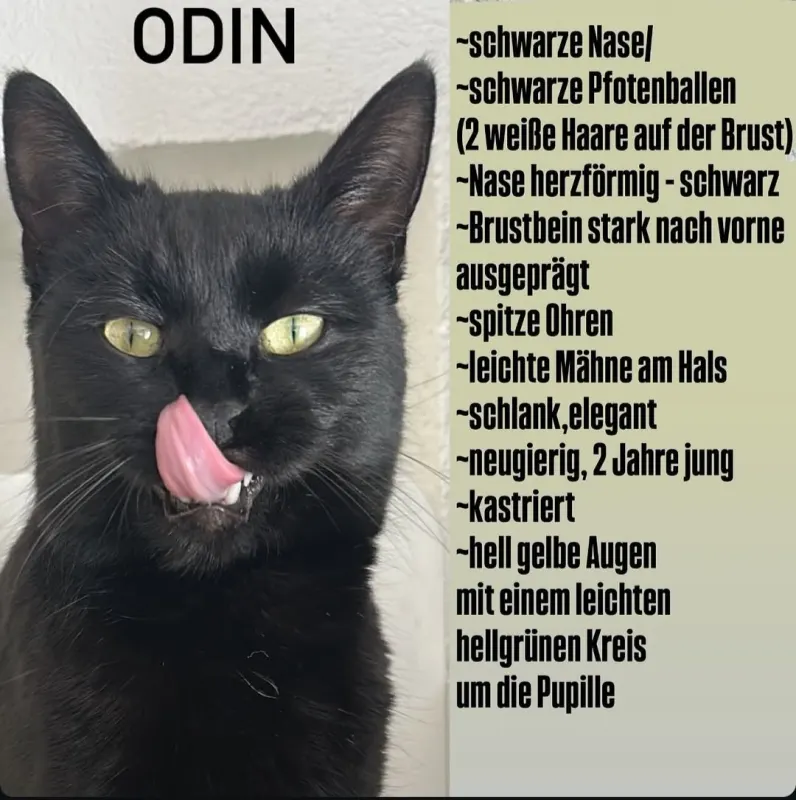 Odin, Kempten (Allgäu)