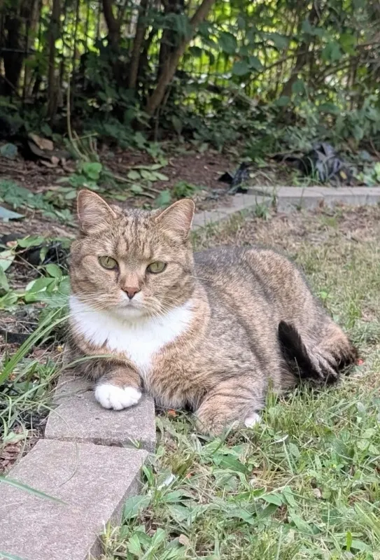 Fergie, Moabit