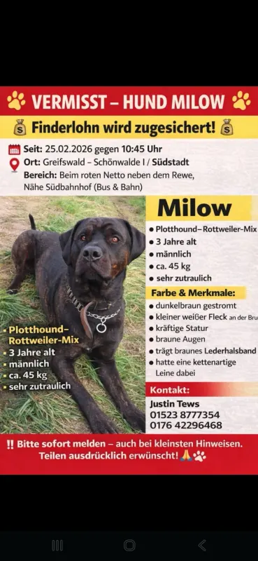Milow, Universitäts- und Hansestadt Greifswald