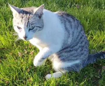 Max, Mannheim