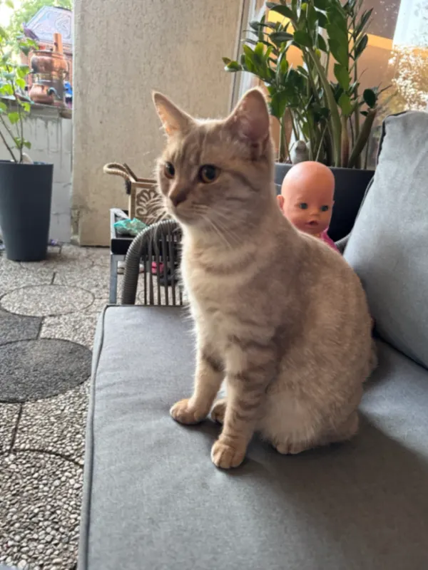 Lulu, Hermsdorf