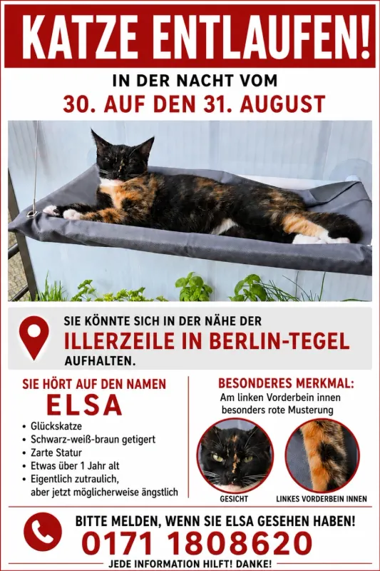 Elsa, Tegel