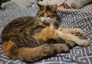 Nala, Traunreut