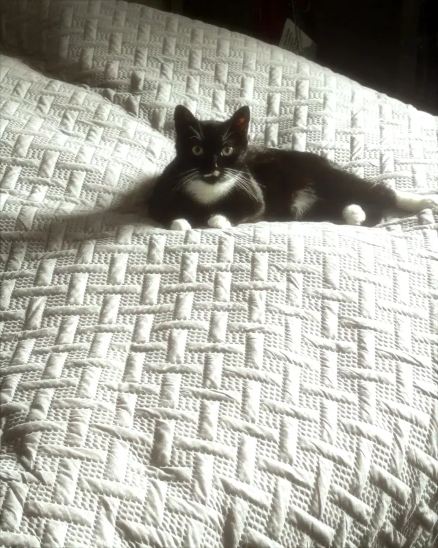 Lucy, Norderstedt