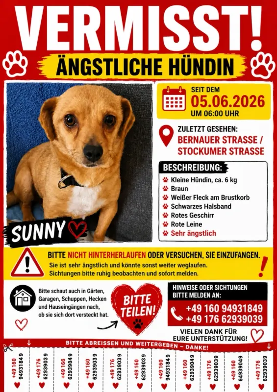 Sunny, Tegel