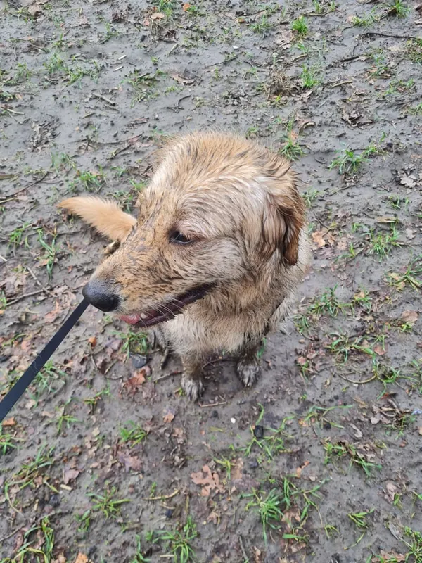 Maya, Gladbeck