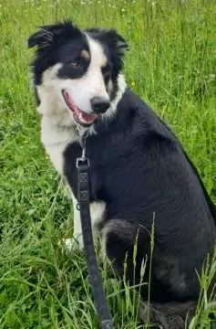 Nala, Saalburg-Ebersdorf