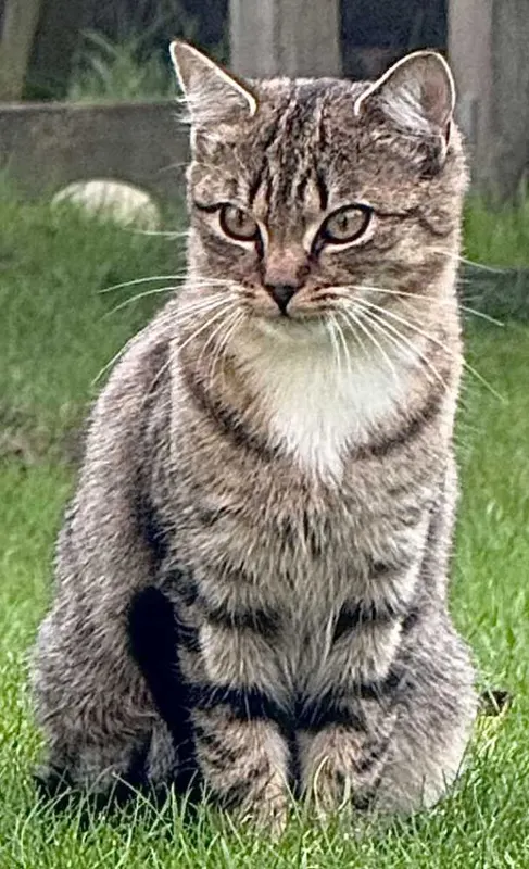 Coco, Lingen (Ems)