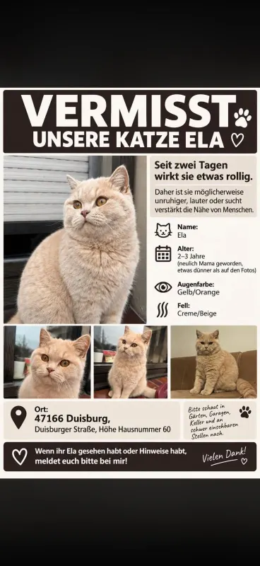 Ella, Meiderich