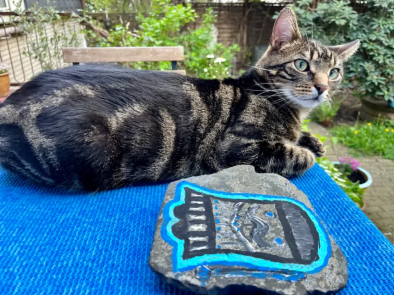 Kater Mottek, Meiderich