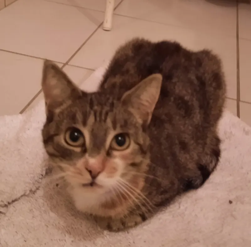Mireille, Rheinhausen