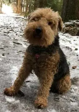 Chester, Hohenfurch