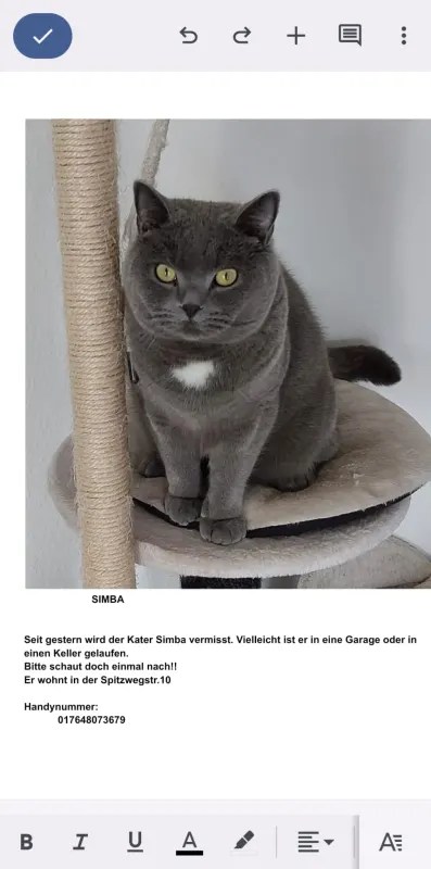 Simba, Lengerich