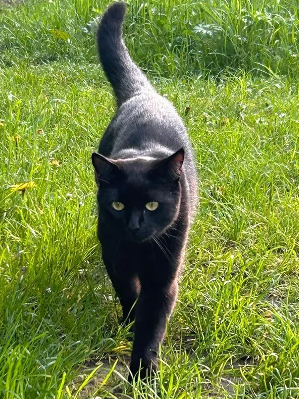 MATTEO, Lengerich