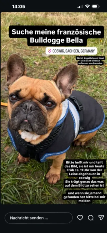 Bella, Coswig