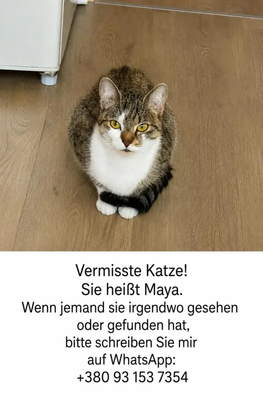 Майя, Siegen
