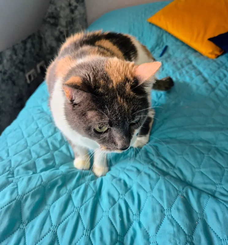 Megan, Freising