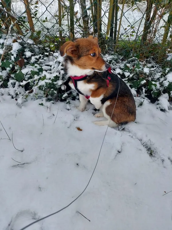 Lilou, Ettlingen