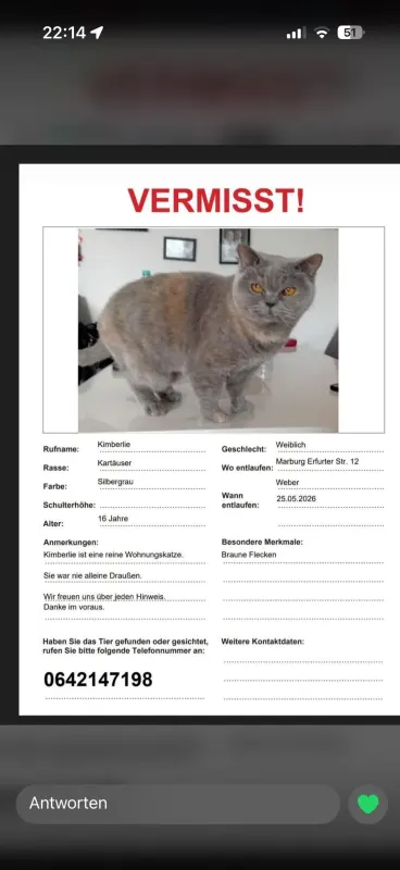 Kimberlie, Marburg an der Lahn