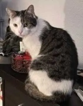 Lucy, Koblenz