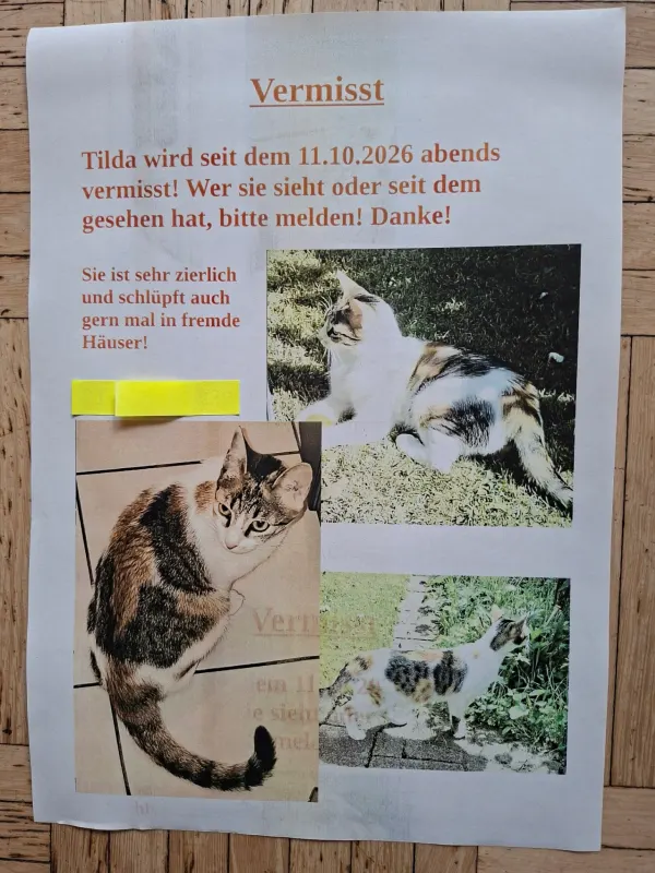 Tilda, Paderborn