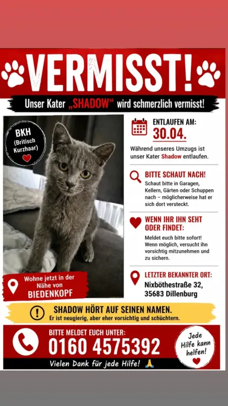 Shadow, Dillenburg