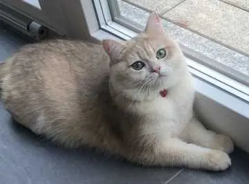 Max, München