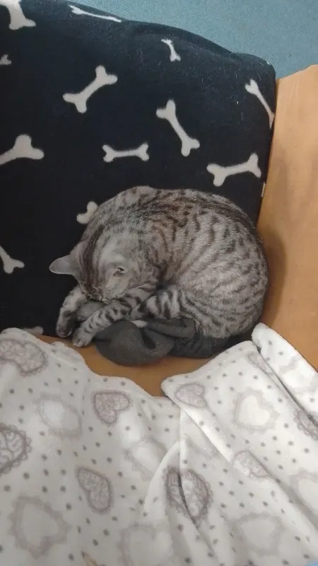 Uli, Büren