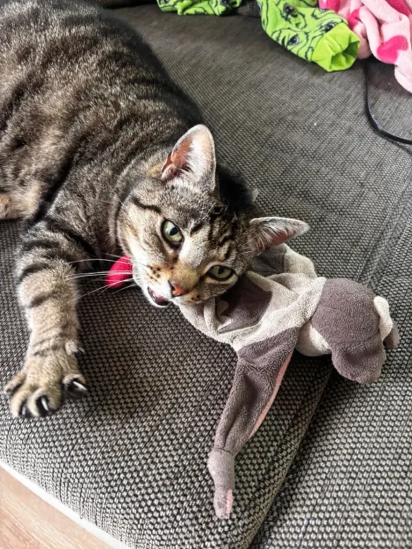 Lilly, Büren