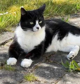 Lars, Itzehoe