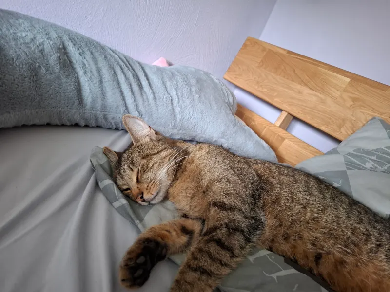 Yuma, Saarlouis