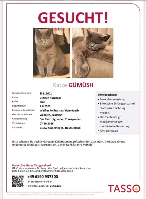 Gümüsh, Sindelfingen