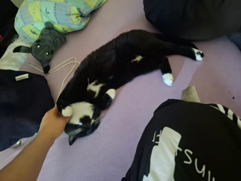 Mia, Schrobenhausen