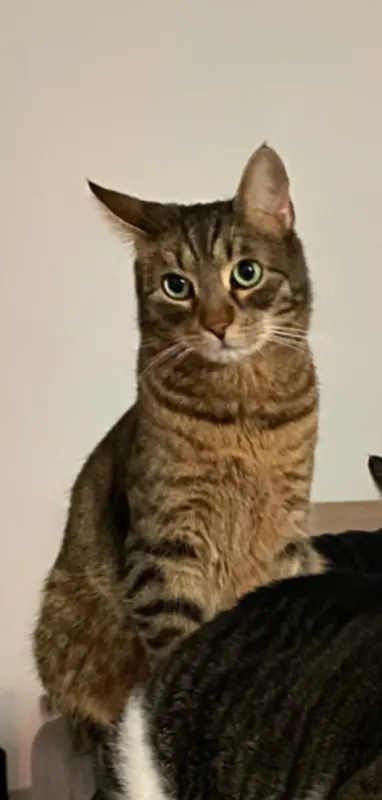 Pablo, Schrobenhausen