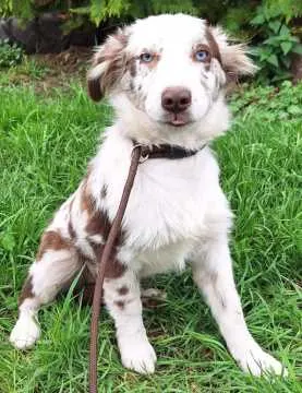 Bella, Geratal