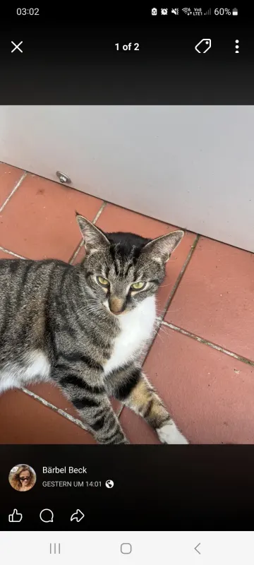 Tom, Uetersen
